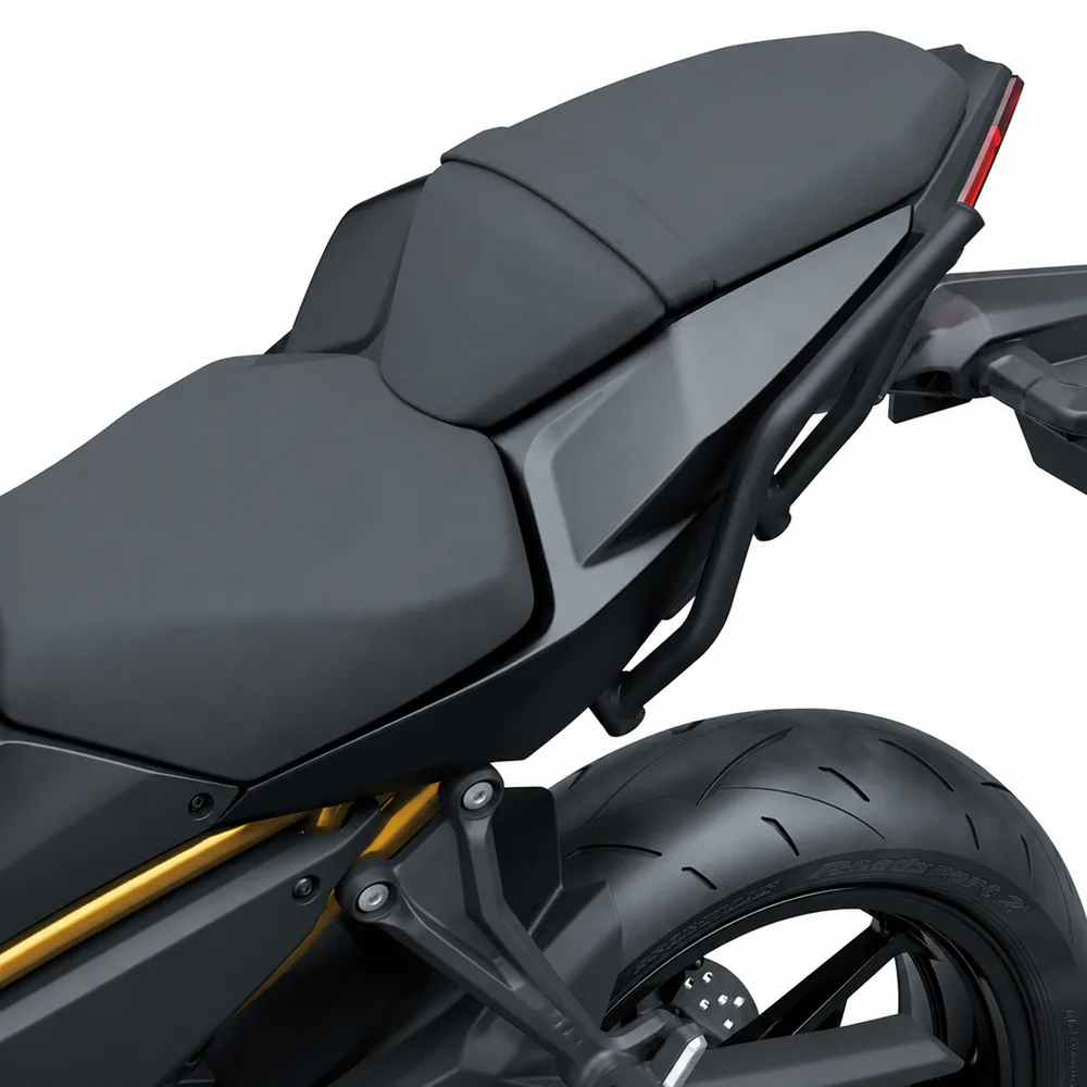 Z650 S Rear Grab Handles detail 5